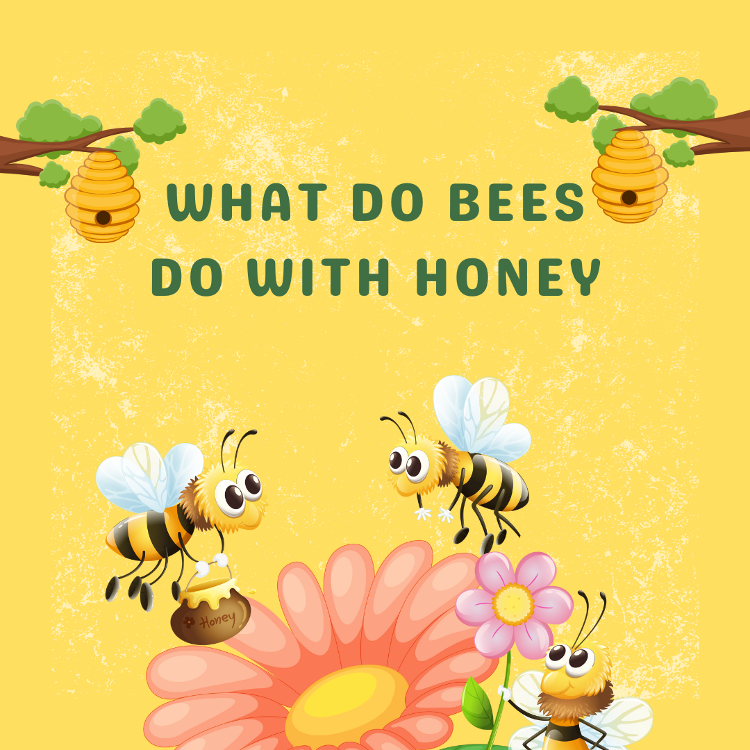 What Do Bees Do with Honey