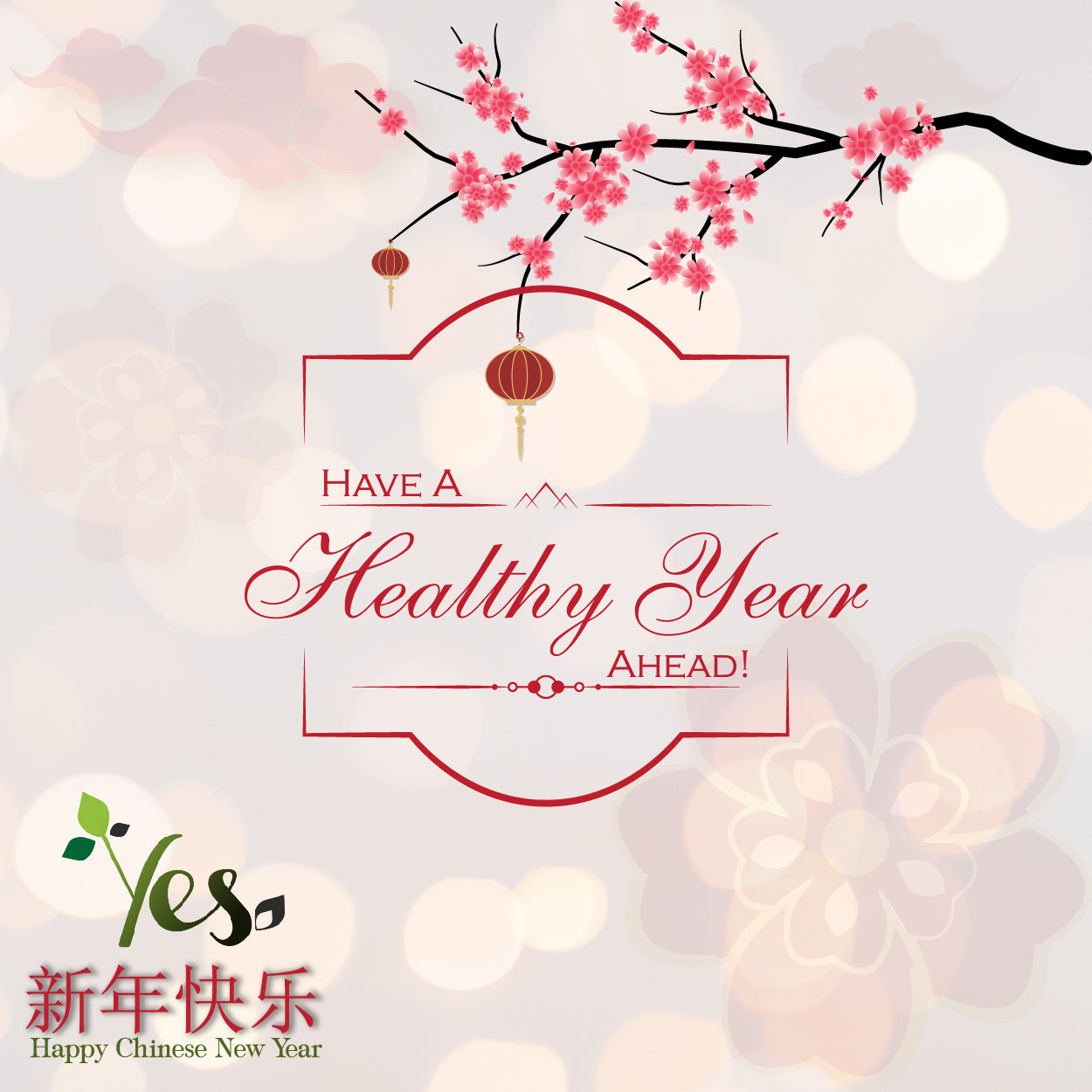 Have a Healthy Chinese New Year to all our Friends!