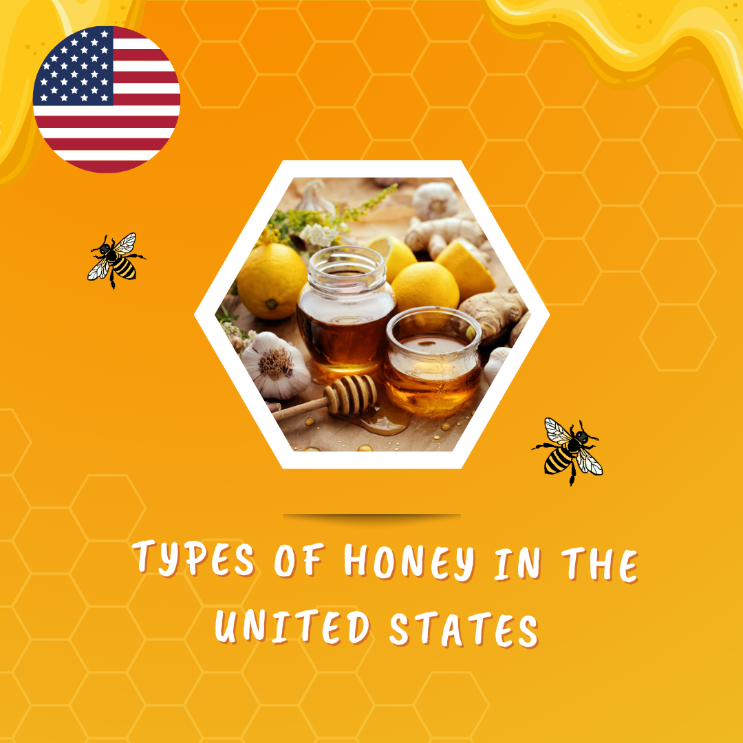 Types of Honey in the US