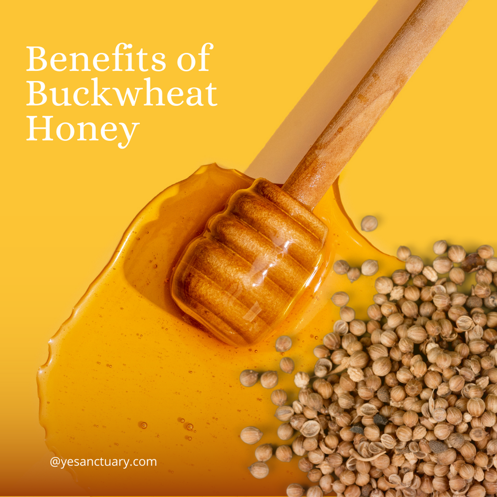Benefits of Buckwheat Honey