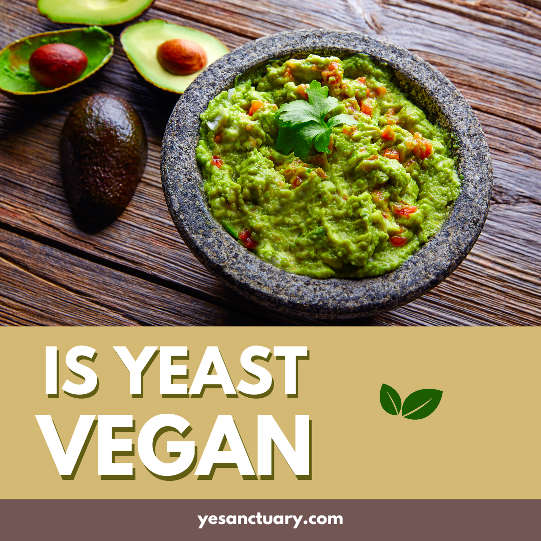 Is Yeast Vegan