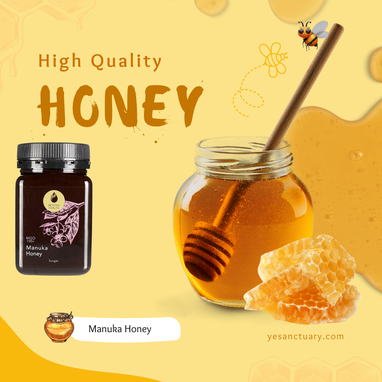 Benefits of Honey for Men Young Earth Sanctuary