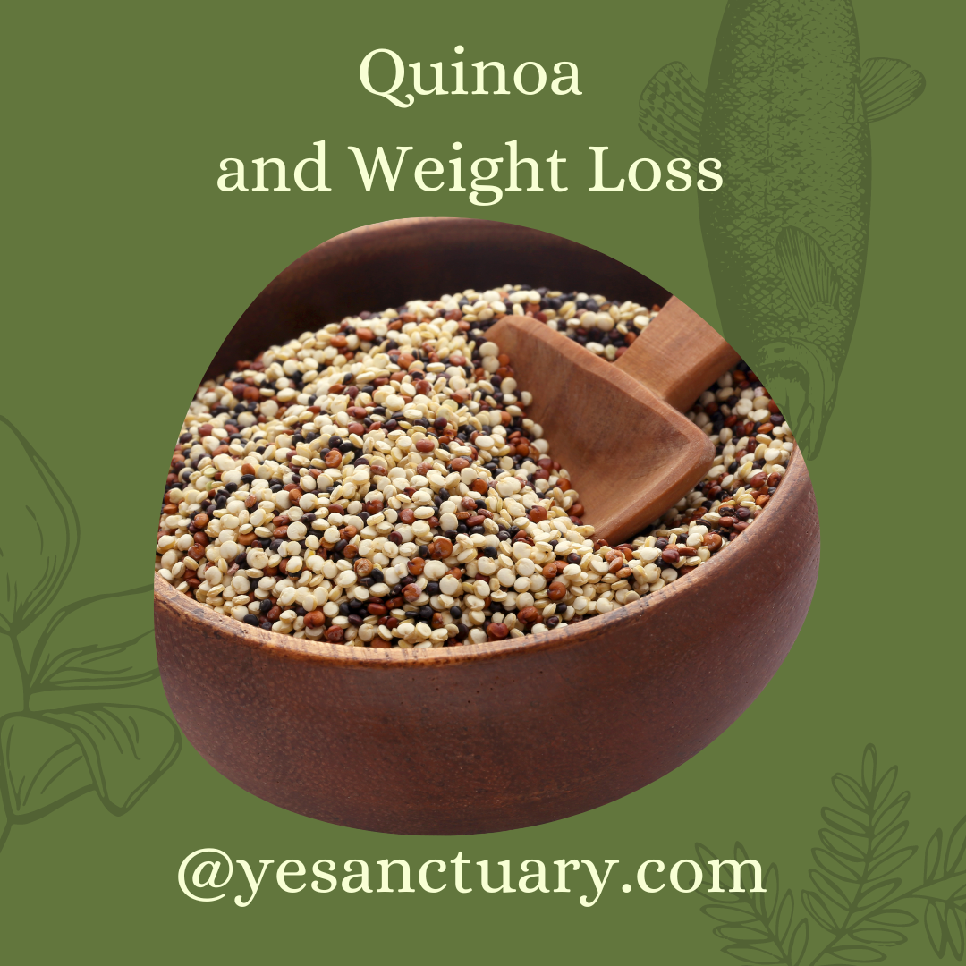Is Quinoa Good for Weight Loss