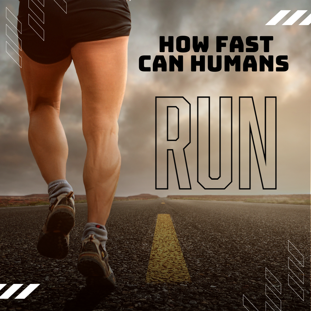 How Fast Can the Average Human Run: Beyond the Finish Line