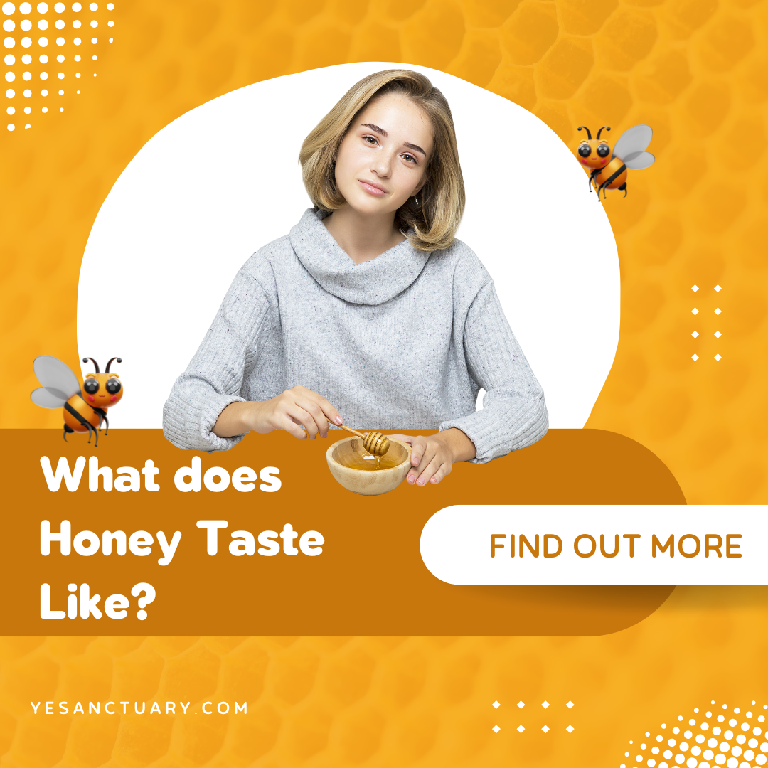 What Does Honey Taste Like?