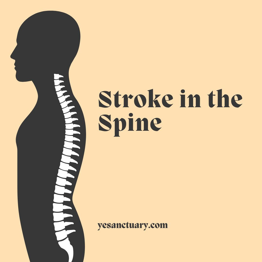 Spinal Stroke