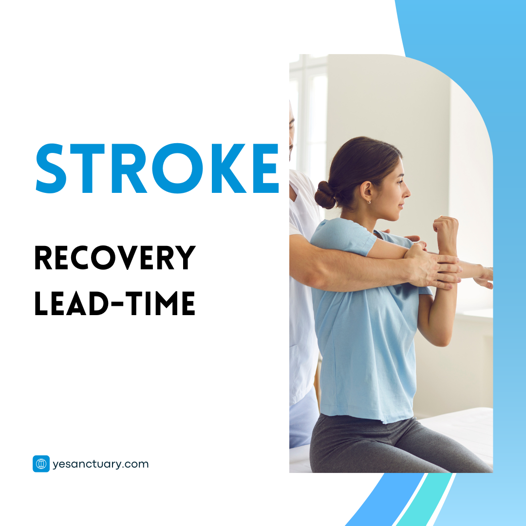 Stroke Recovery Timeline