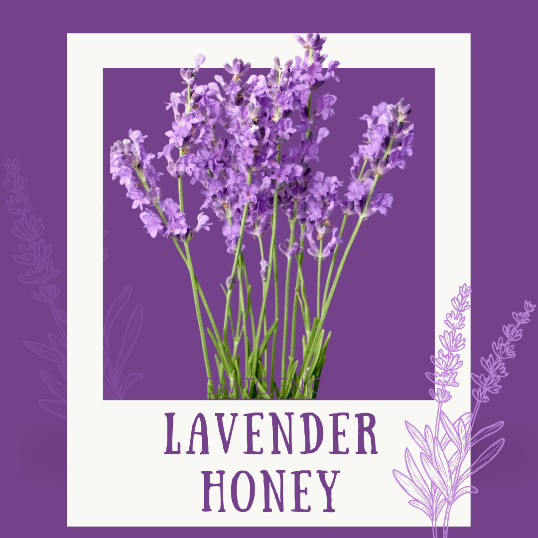 Lavender Honey: A Soothing Treat