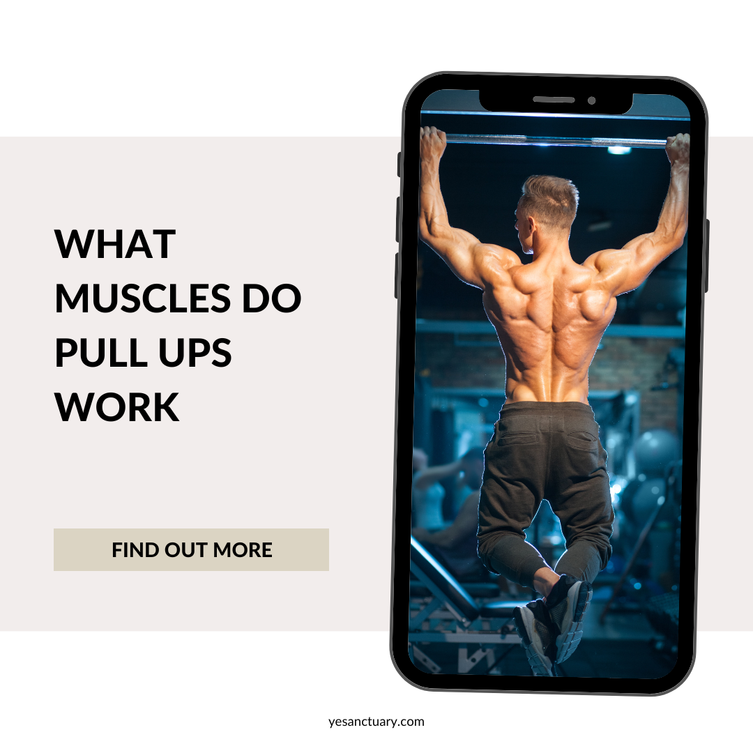 What Muscles Do Pull Ups Work