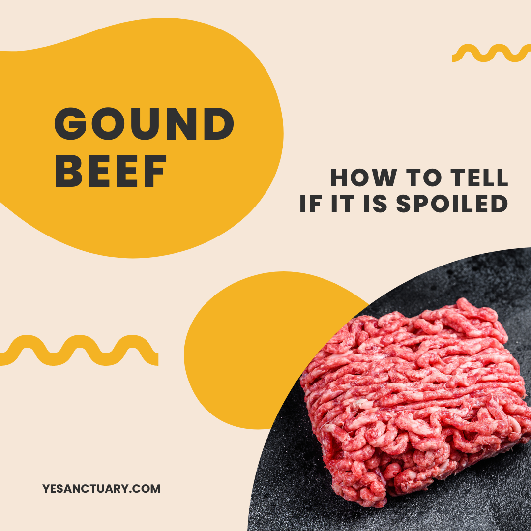 How to Tell If Ground Beef Is Bad