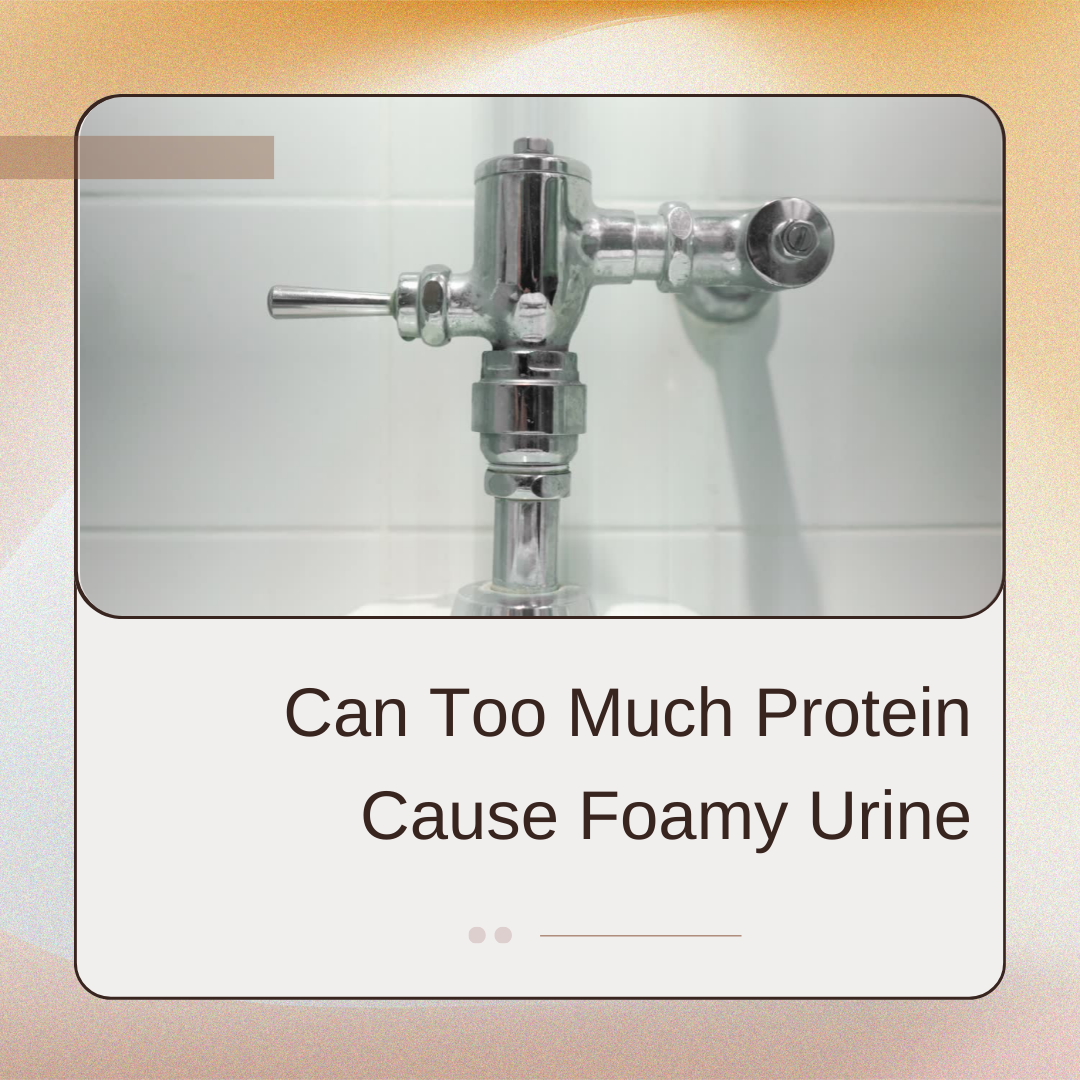 Can Eating Too Much Protein Cause Foamy Urine?