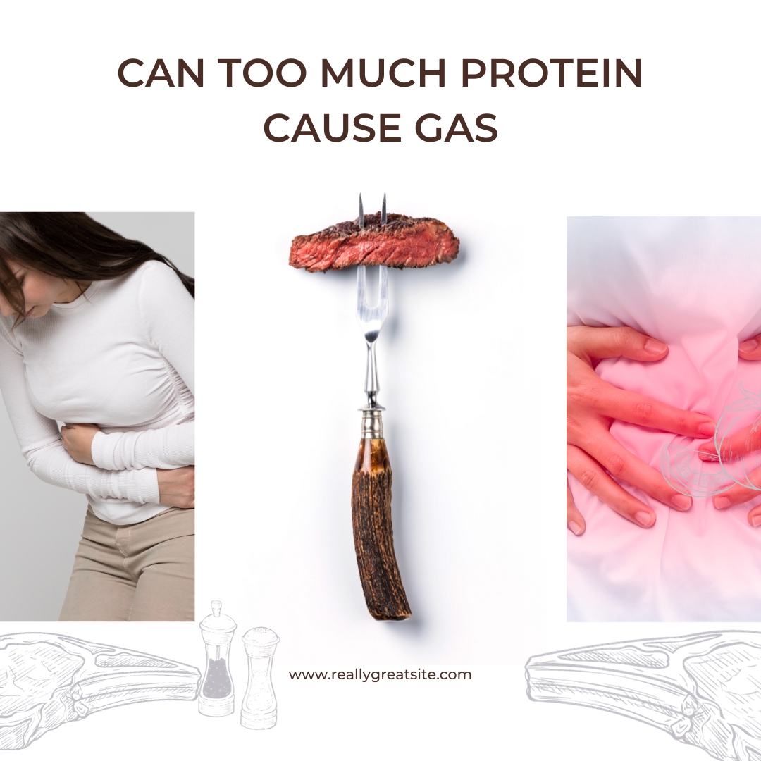 Can Too Much Protein Cause Gas