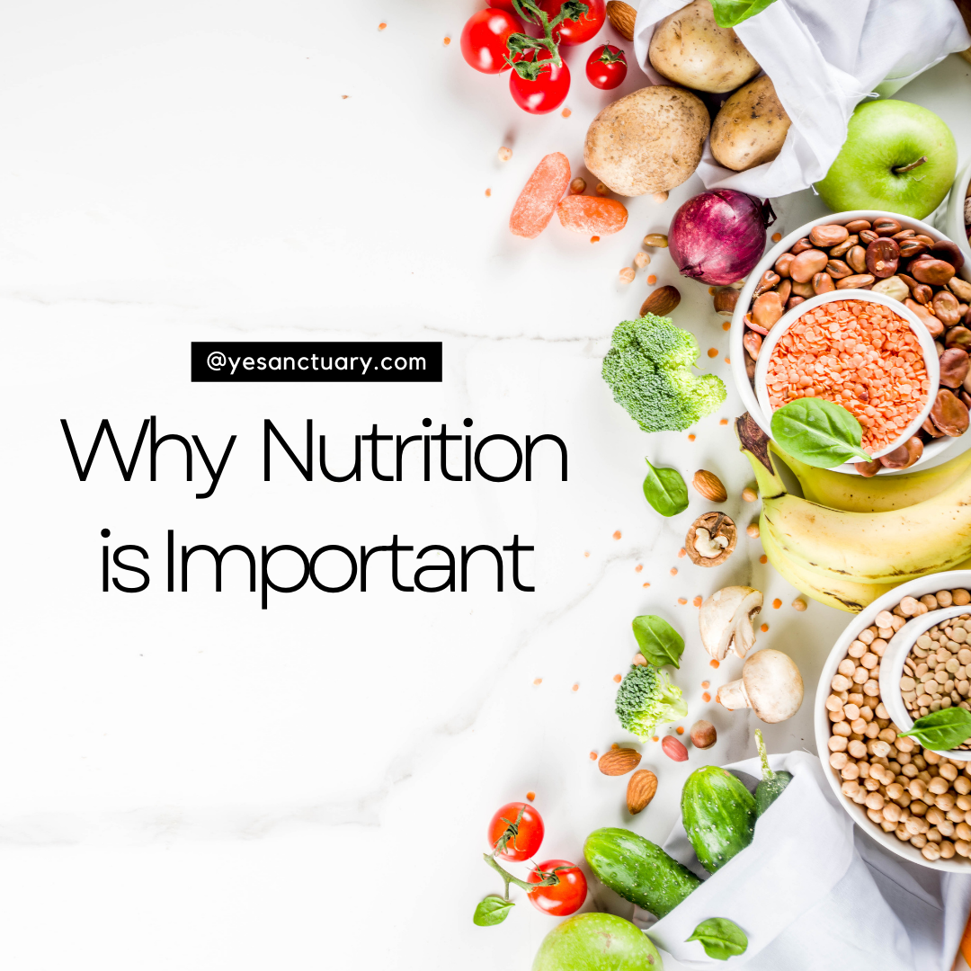 Importance of nutrition