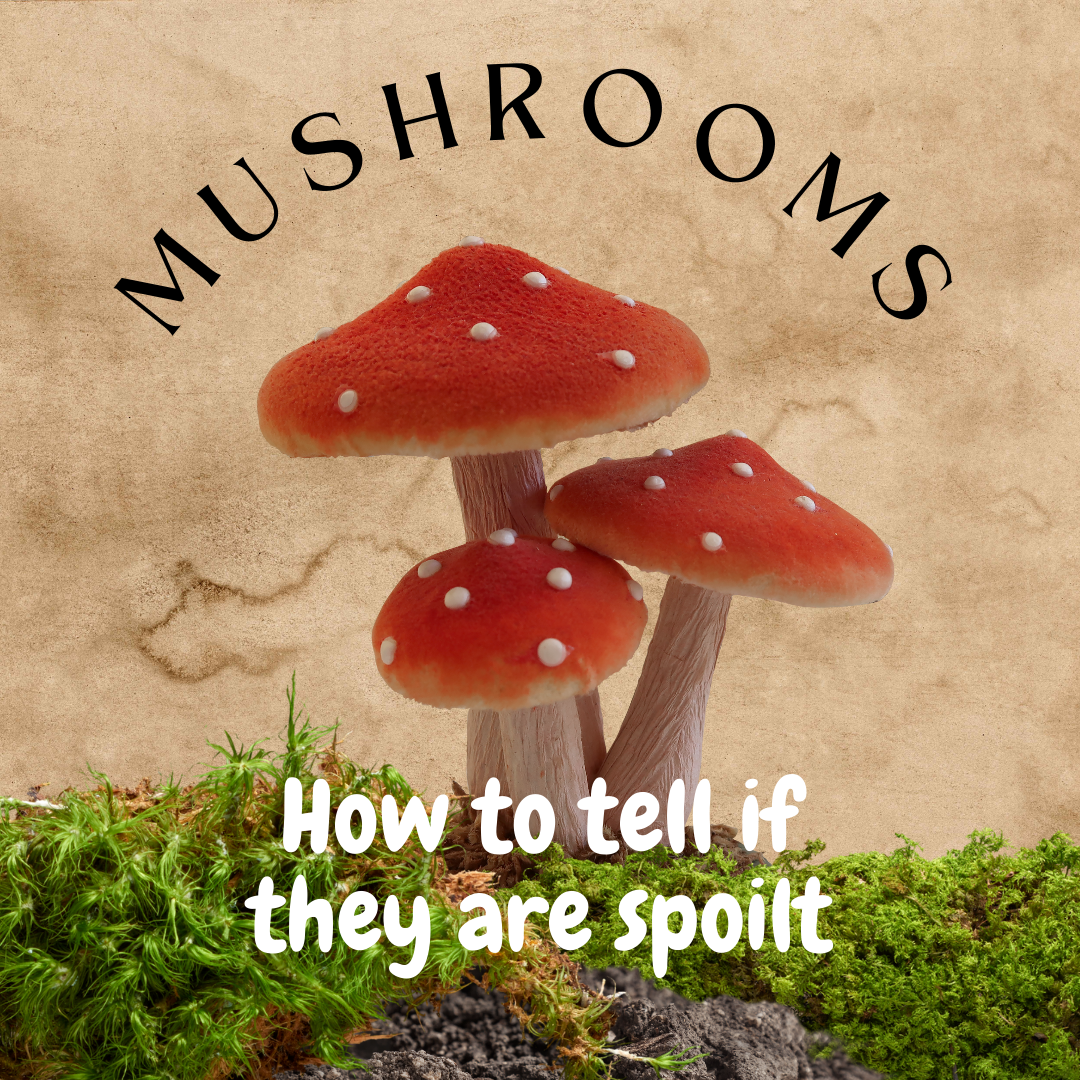 How to Tell if Mushrooms are Bad